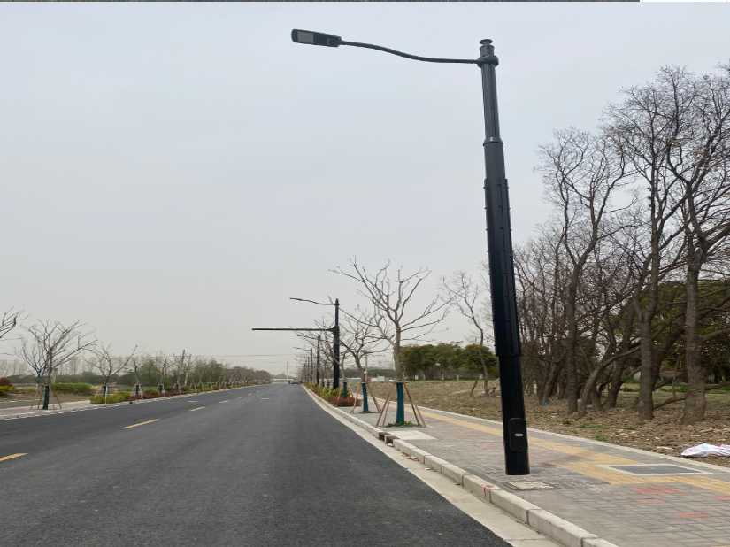 师宗县上海综合杆 太阳能路灯工程
